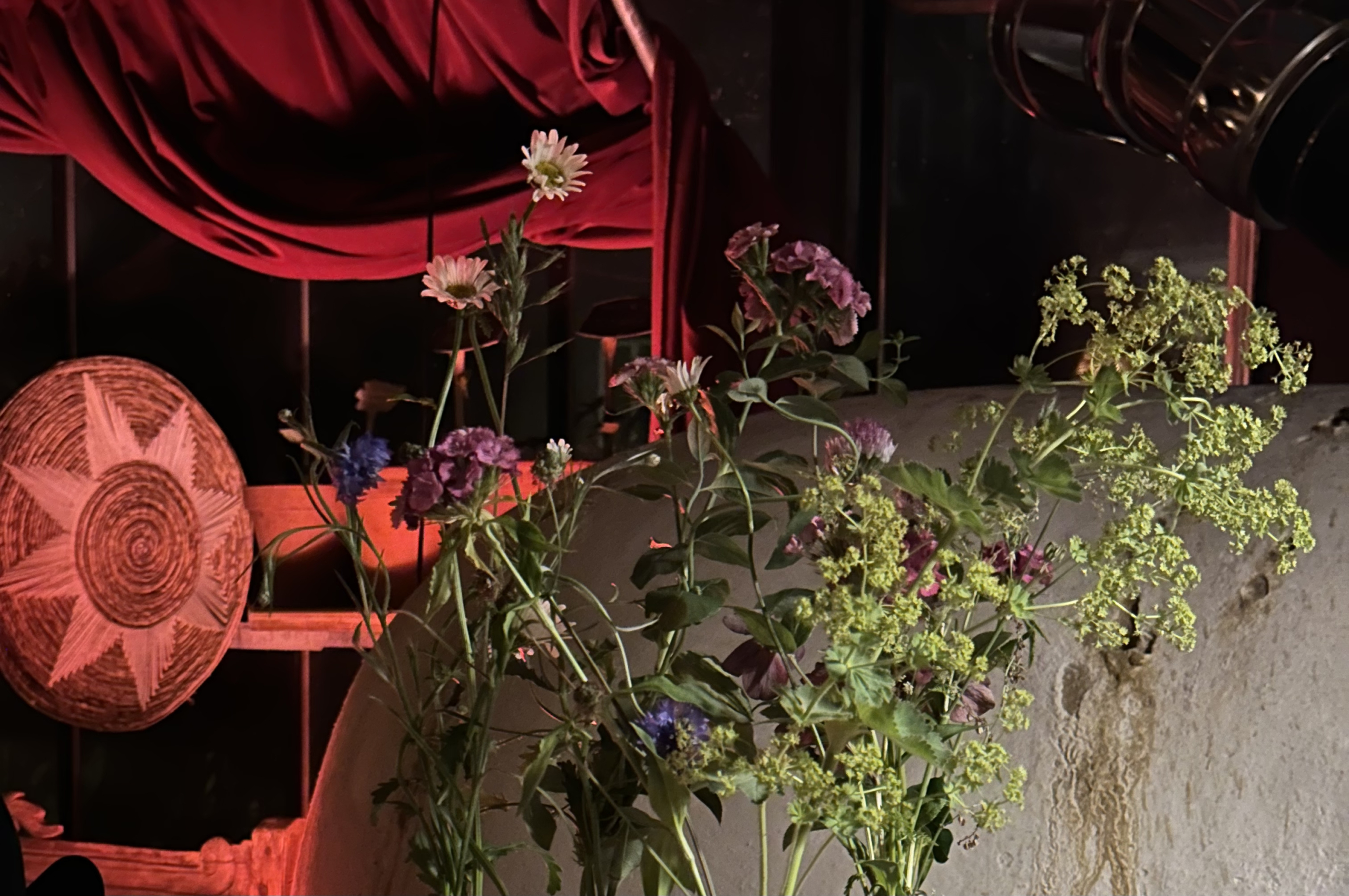 flowers in the dark